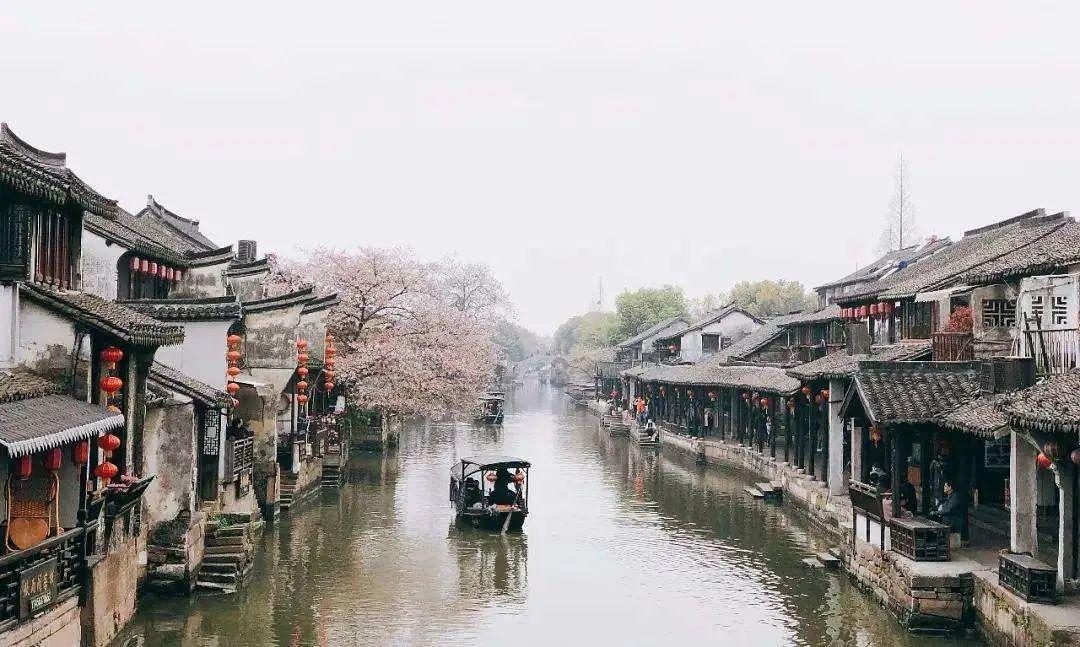 人生来就是孤独的，你是怎么忍受孤独的？