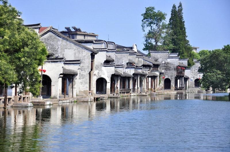 逃离仿真森林